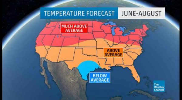 forecast