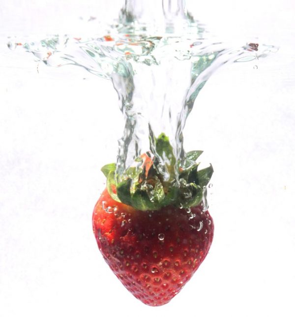 fruit
