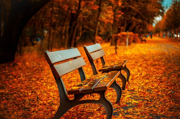 fall