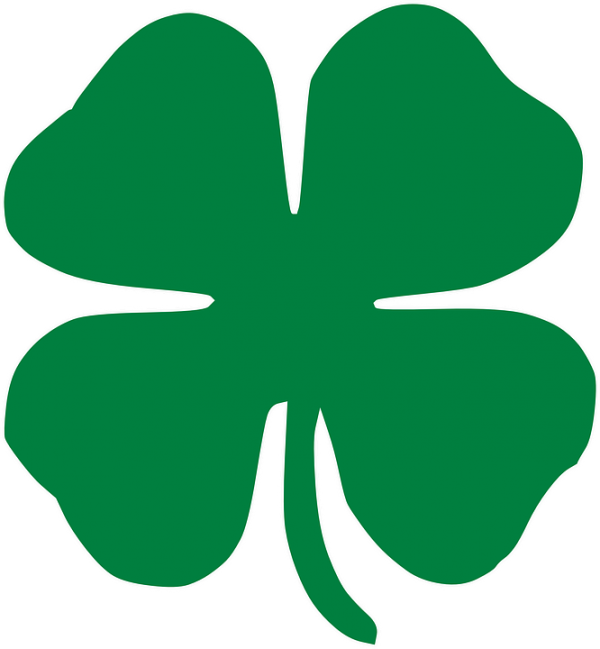 shamrock