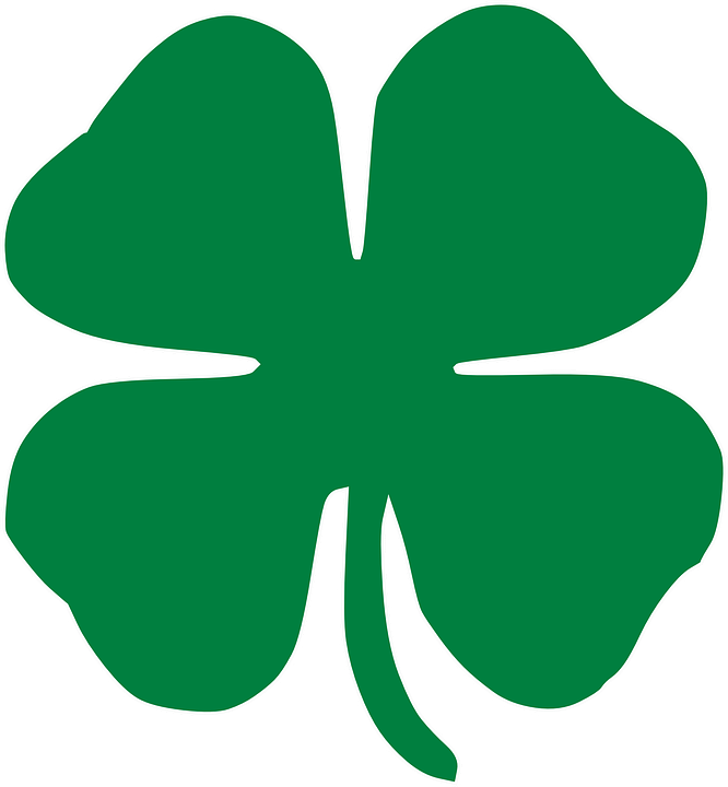 shamrock