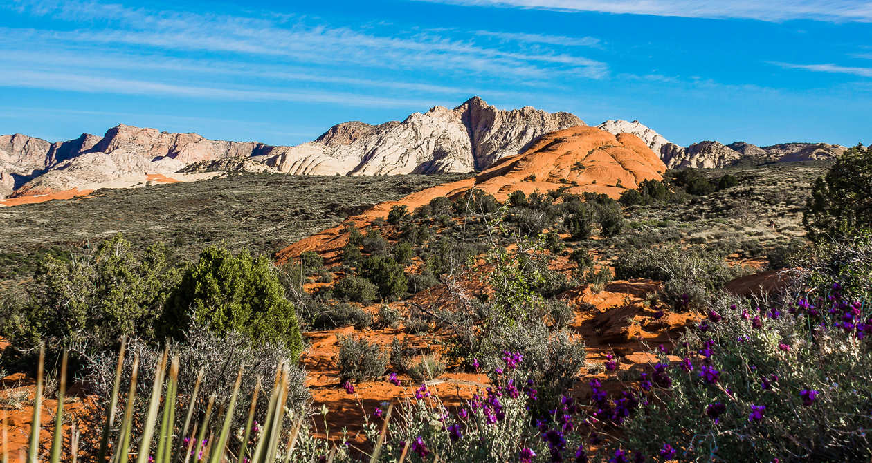 UPCOMING EVENTS IN ST GEORGE Lime Realty Real Estate Of St 